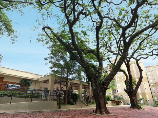 Imóvel Venda 5946-J – Apartamento à venda no Eco Vila Tipuana – 2 dormitórios – Campinas/SP