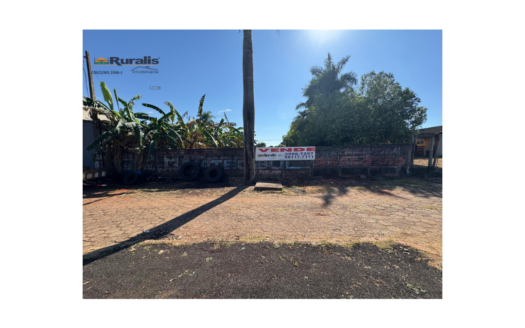Ruralis Imobiliária ( Imóvel Venda 5946 - J - Bom Jesus )