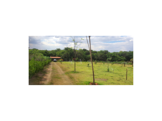 Imóvel Venda – 5946 – J – Rancho