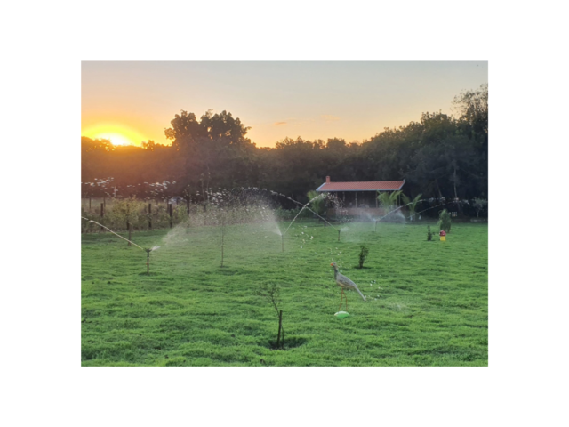 Imóvel Venda – 5946 – J – Rancho